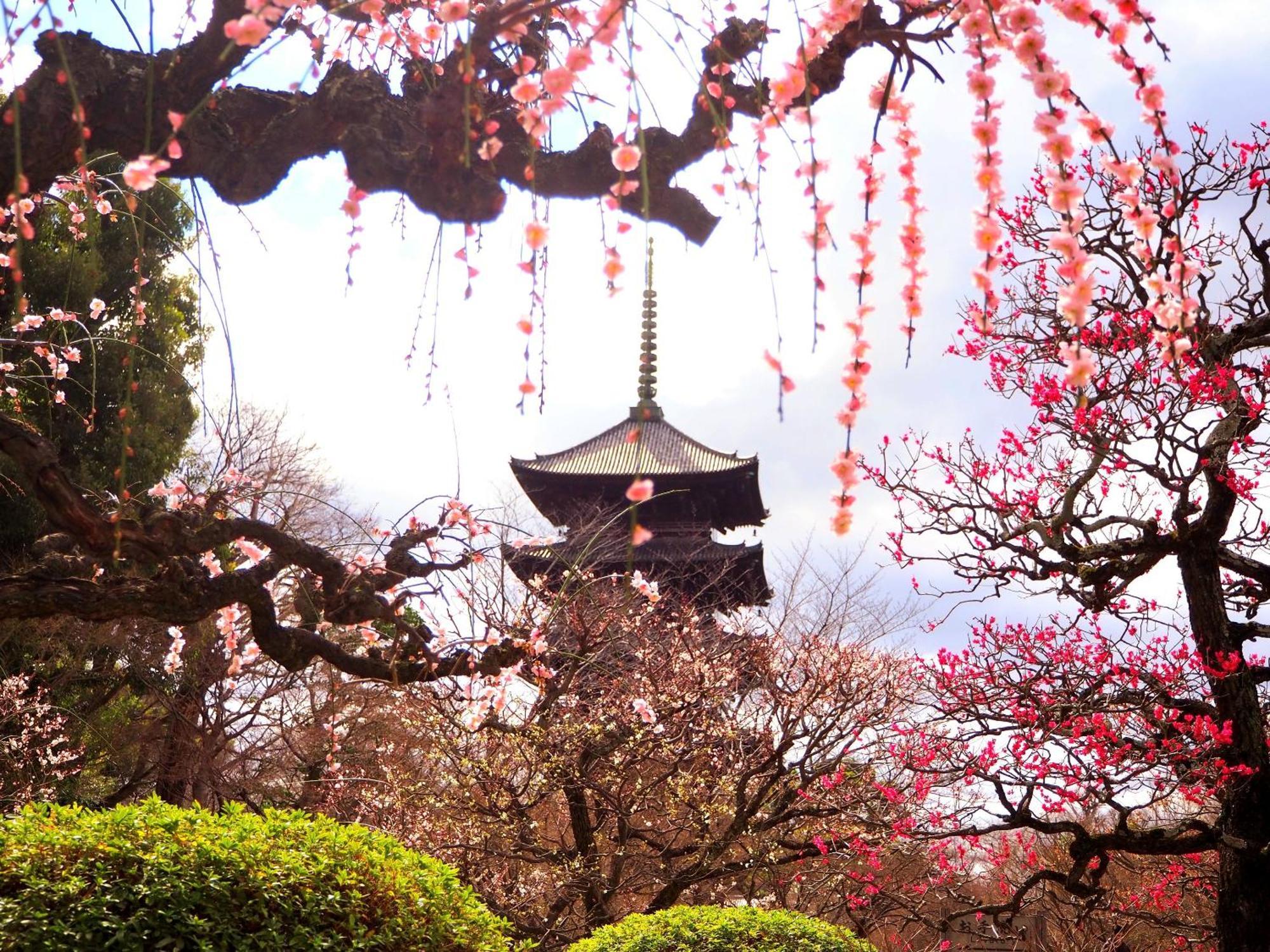 Stay Sakura Kyoto Higashi Hongan-Ji I Exterior foto