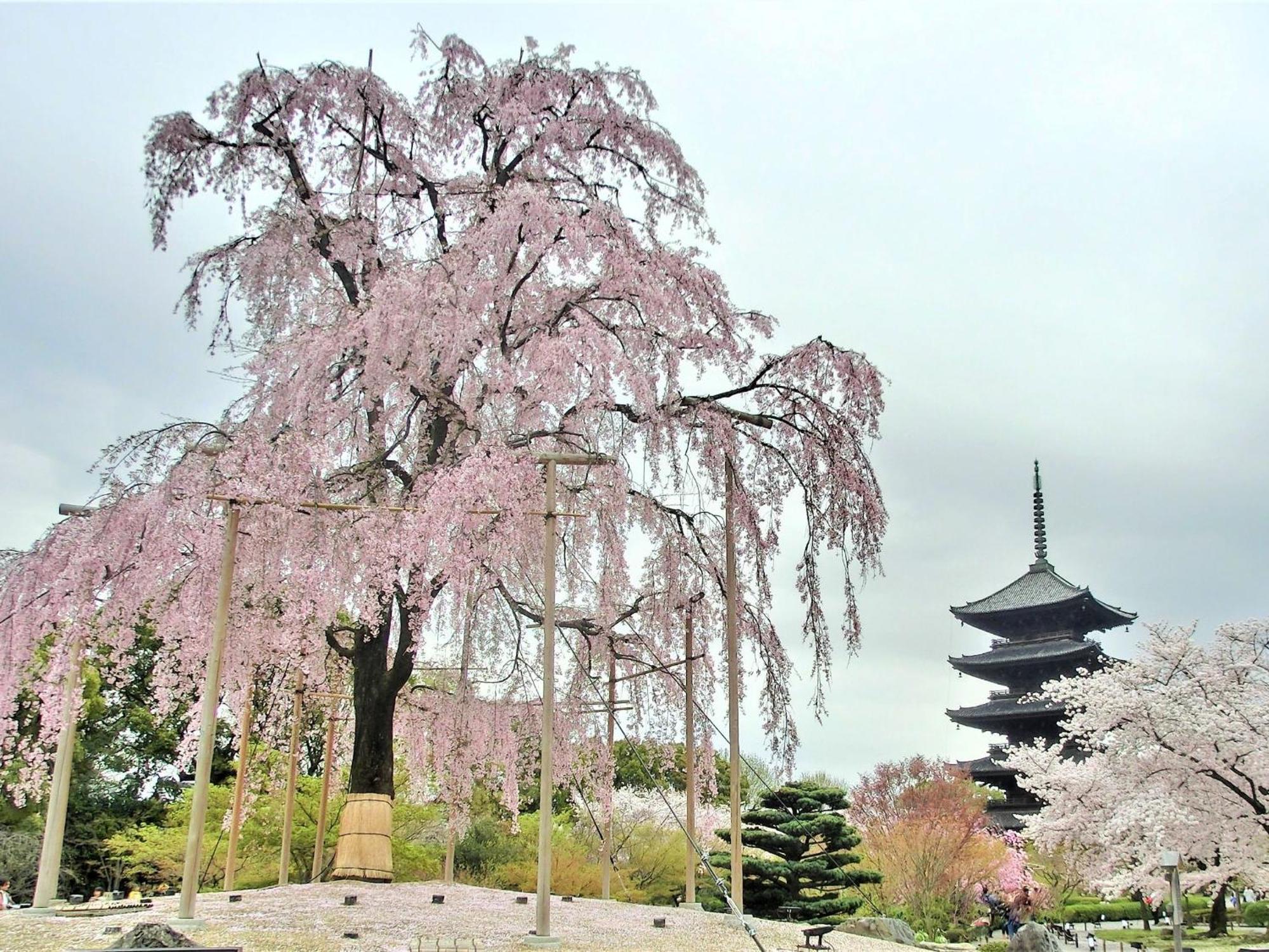 Stay Sakura Kyoto Higashi Hongan-Ji I Exterior foto
