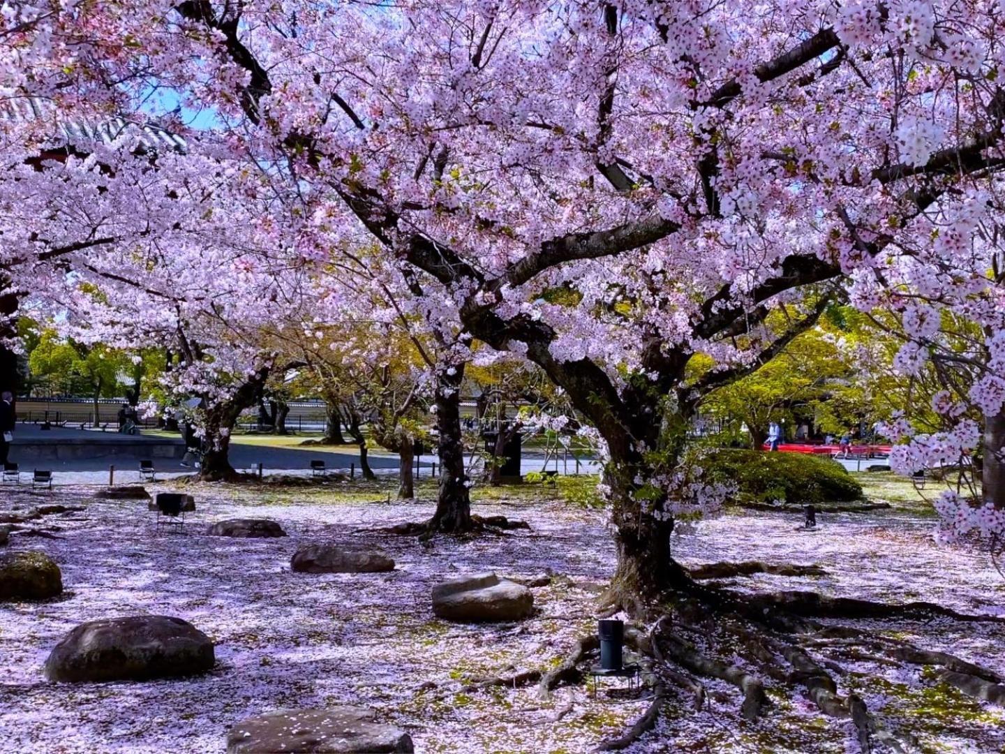 Stay Sakura Kyoto Higashi Hongan-Ji I Exterior foto